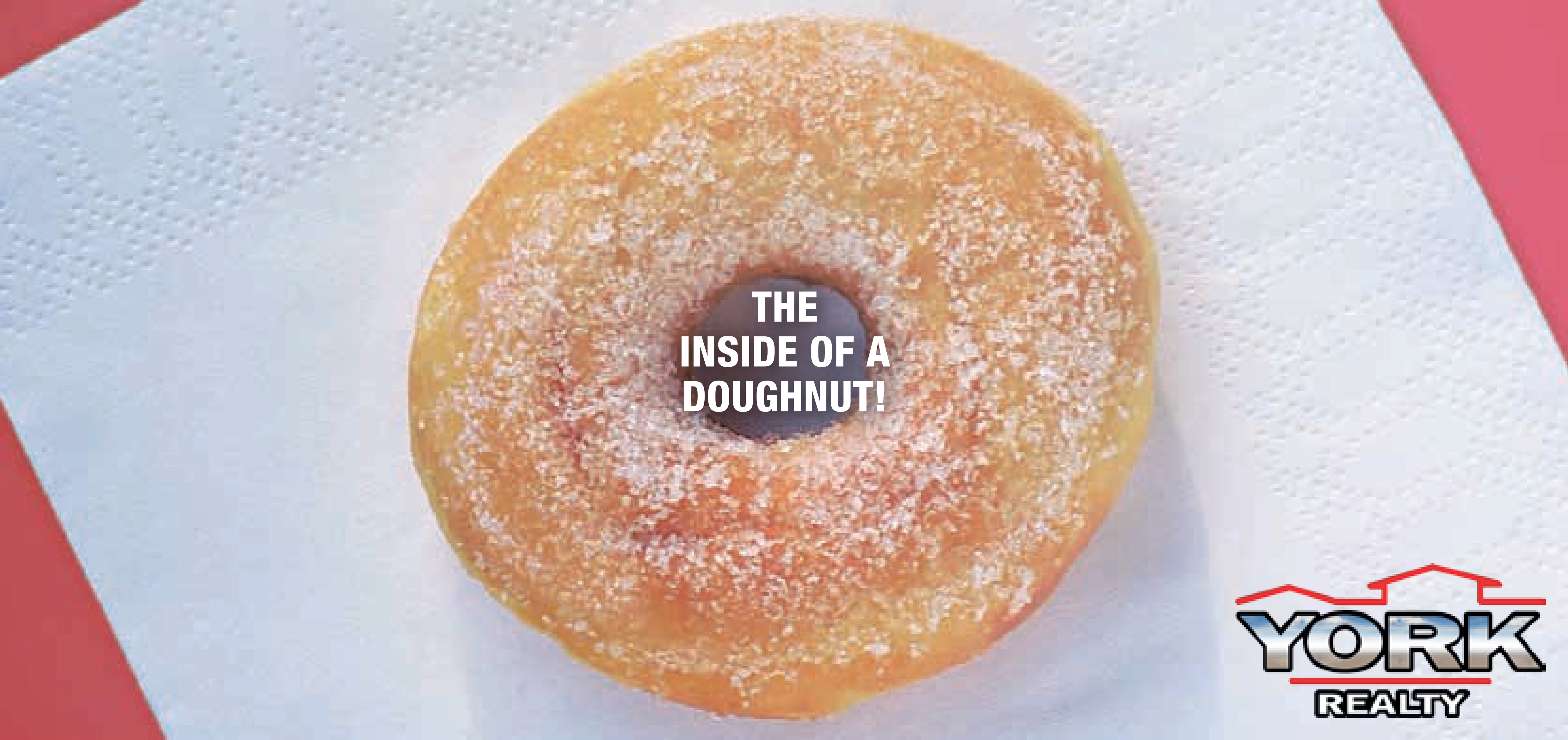 Inside of a Doughnut