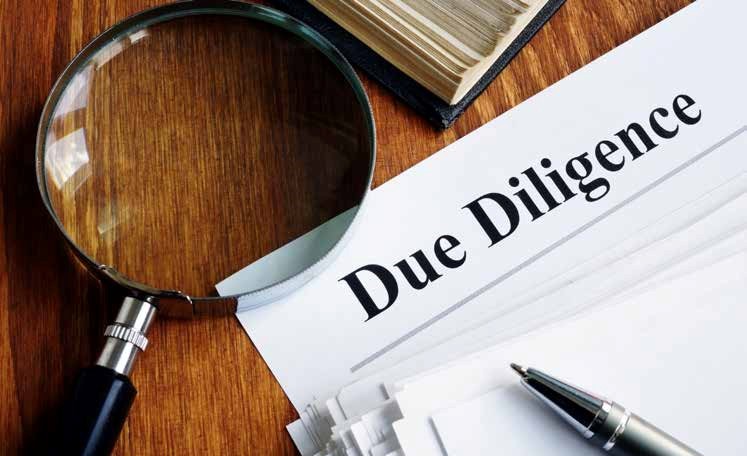 Due Diligence Reports